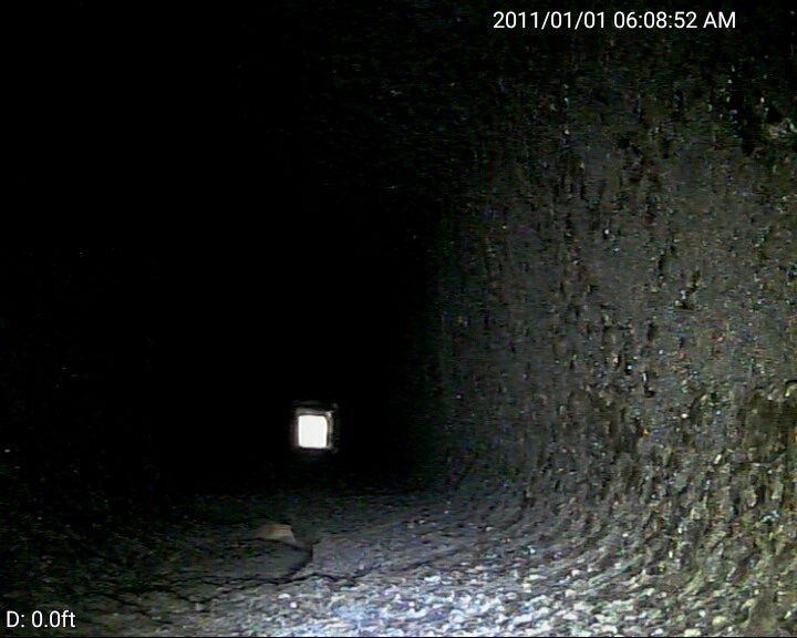 Chimney camera still from the firebox looking up an open flue with daylight at the top and sooted clay walls that look continuous