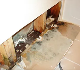 Interior Water Damage and Mold