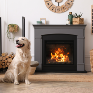 a golden retriever sitting in front of a burning fireplace