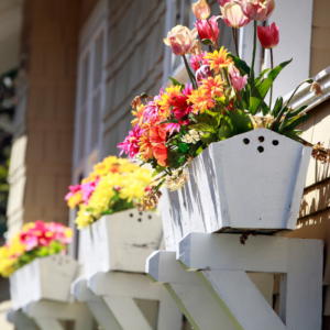 orange, pink, yellow, and red flowers in window still flower pots