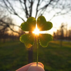 a four leaf clover with the sun shining through it's leaves